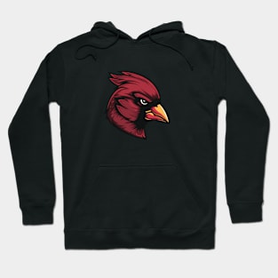 Arizona Cardinals Hoodie